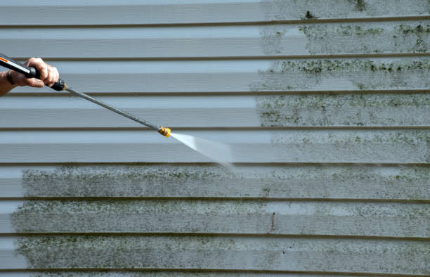 Best Roof Power Washing Services  in Centerville, IN